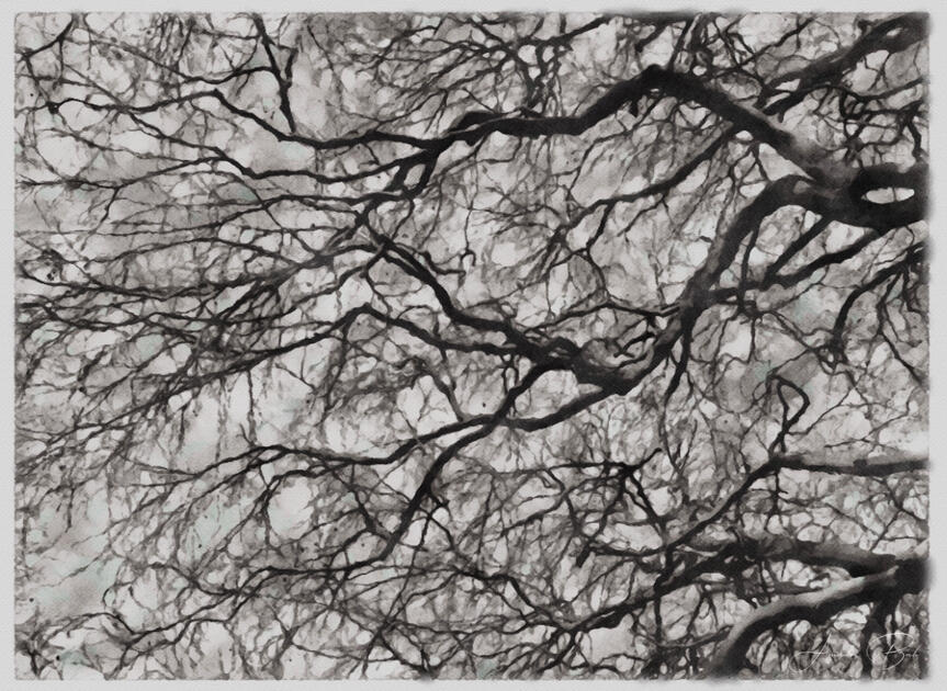 Darkness Branch - WaterPaint (1)