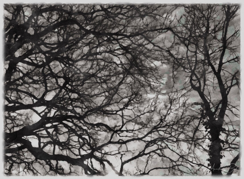 Darkness Branch - WaterPaint (2)